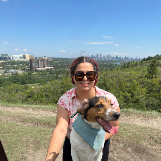 What You Need to Know Before Getting a Cooling Bandana for Your Dog!