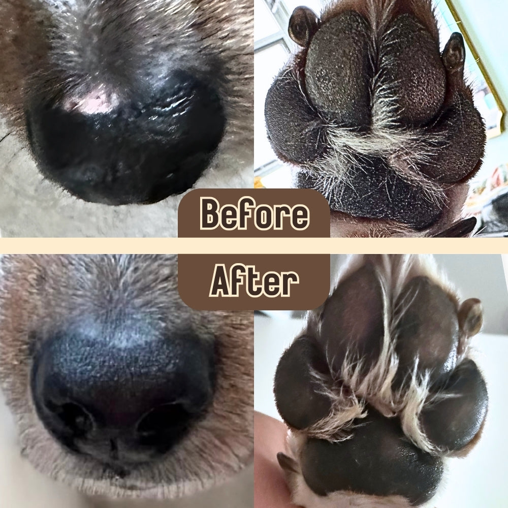 Barrier Booster - Nose & Paw Balm - Coconut & Oat