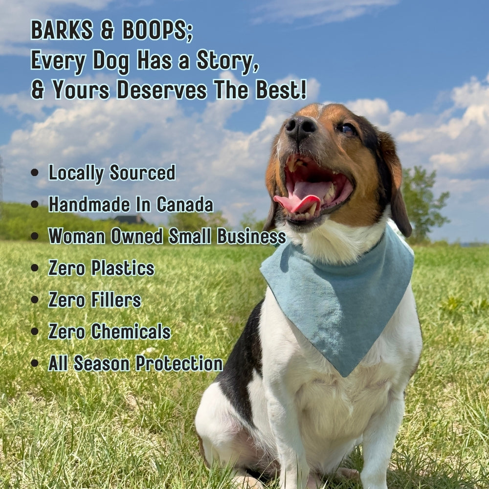 Barrier Booster - Nose & Paw Balm - Lavender