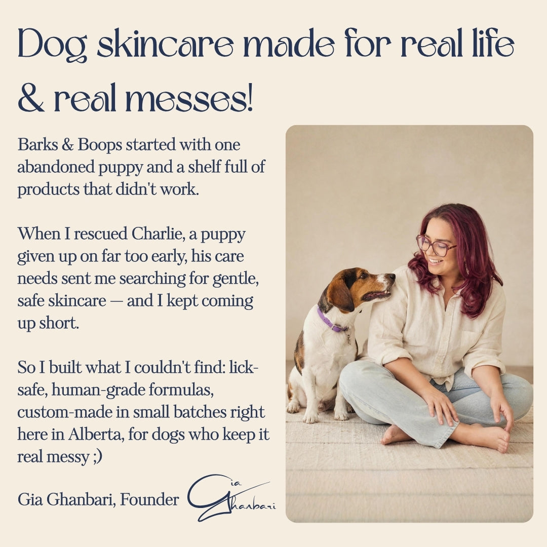 Summer Skin Duo for Dogs | Sun Barrier + Nose & Paw Balm