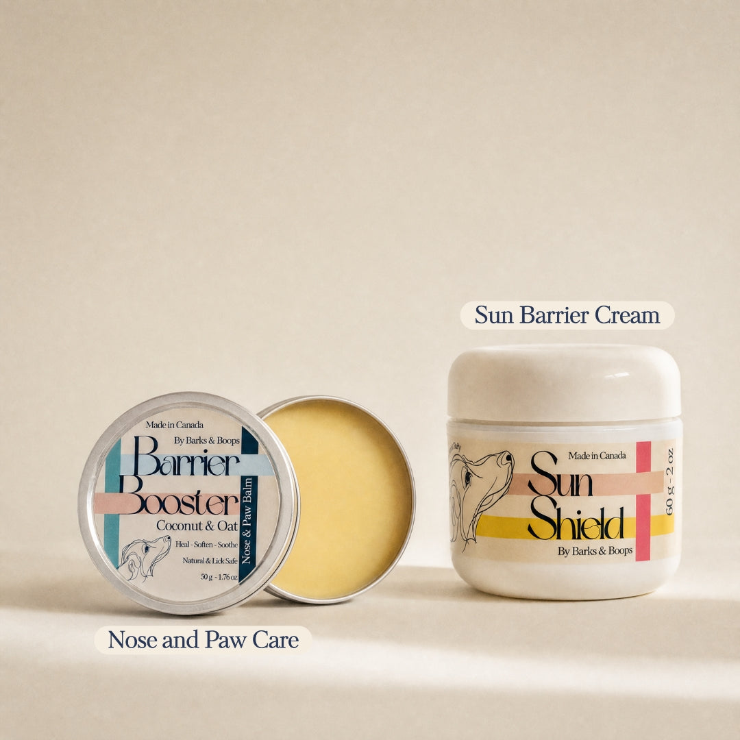 Summer Skin Duo for Dogs | Sun Barrier + Nose & Paw Balm