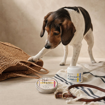Sun Day Duo for Dogs | 3-in-1 Grooming Cream + Sun Barrier