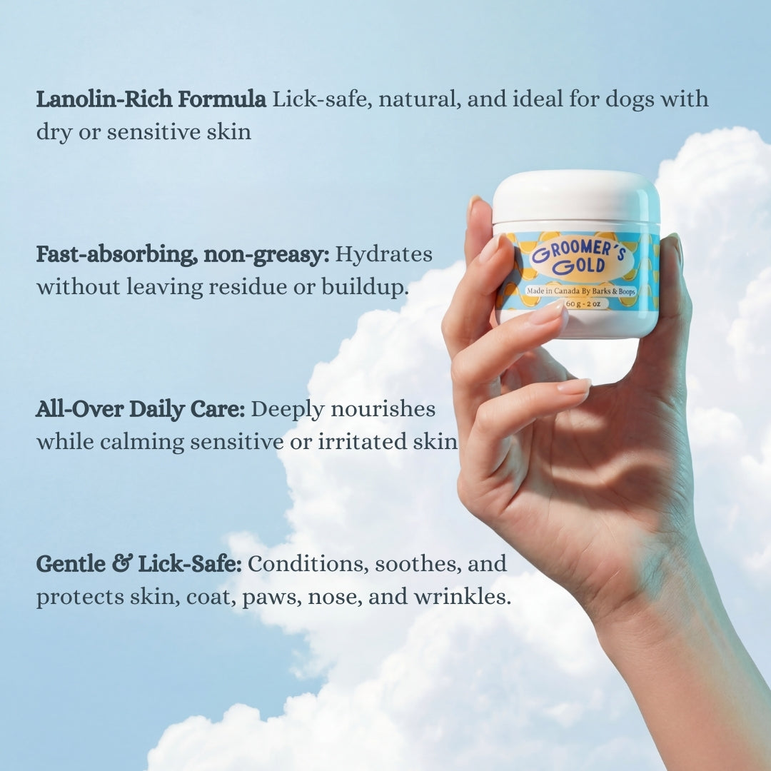 Winter Essentials Bundle - Daily Weather Defence System