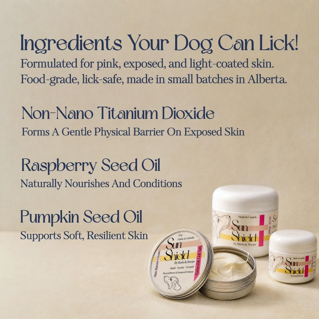 Sun Shield — Zinc-Free Barrier Cream