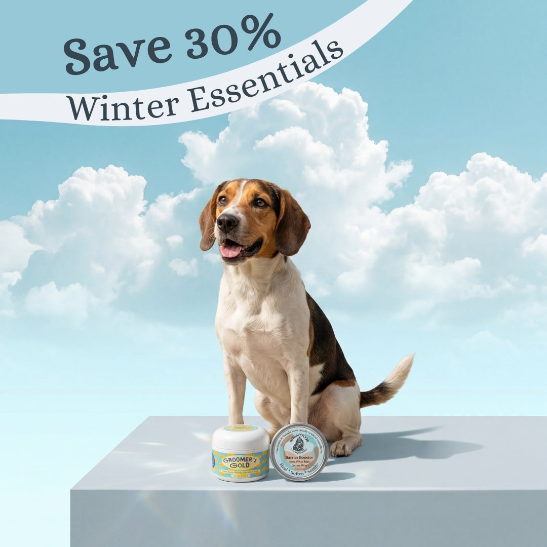 Winter Essentials Bundle - Daily Weather Defence System