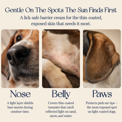 Sun Shield — Zinc-Free Barrier Cream