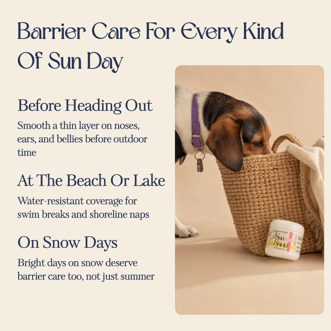 Sun Shield — Zinc-Free Barrier Cream