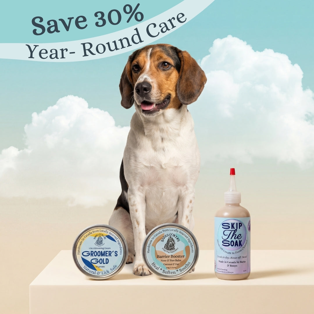 Year-Round Care Bundle - Comprehensive Care Set