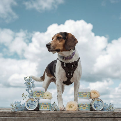 Groomer's Gold - 3 in 1 Grooming Cream - Lick-Safe