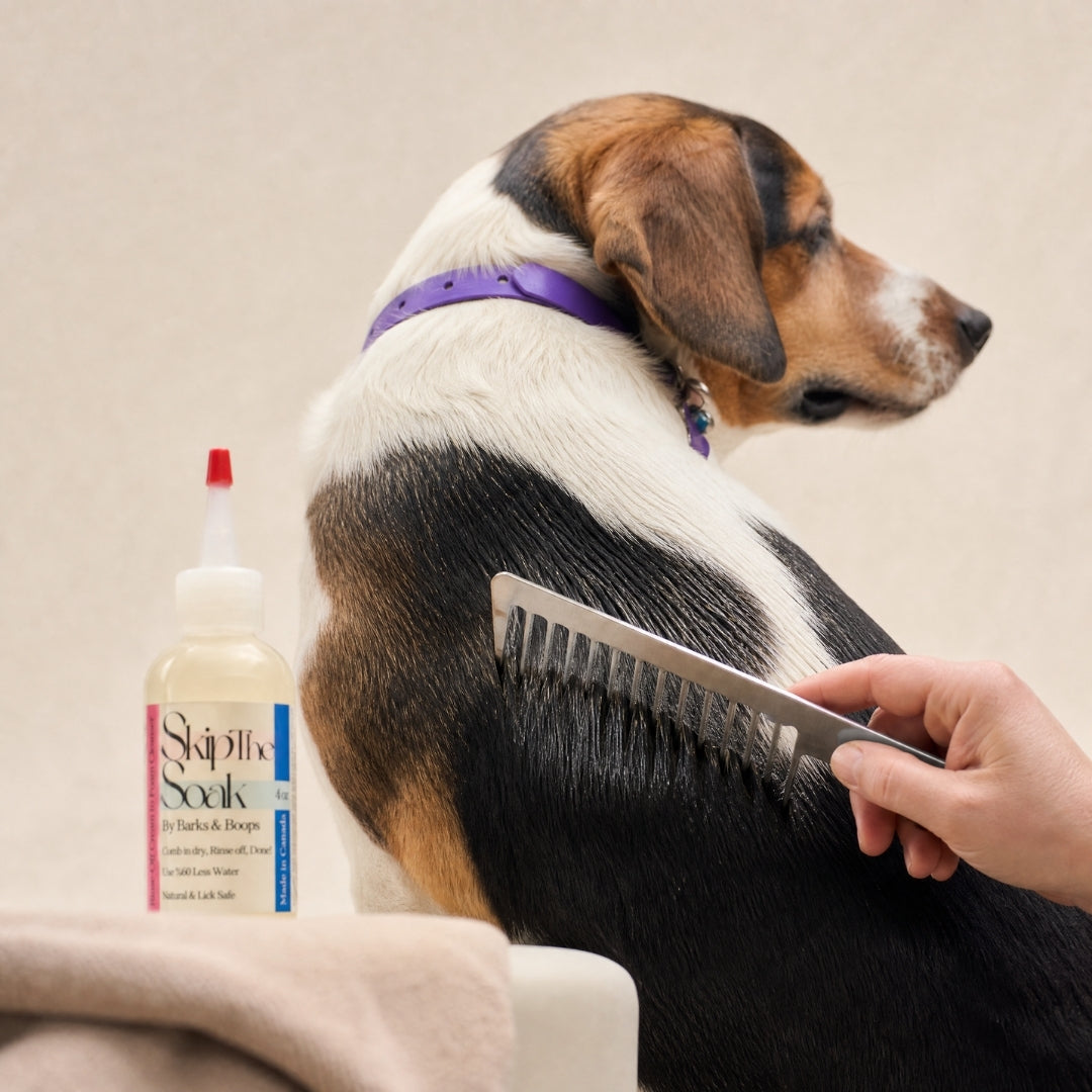 Skip The Soak — Cream-to-Foam Dog Cleanser