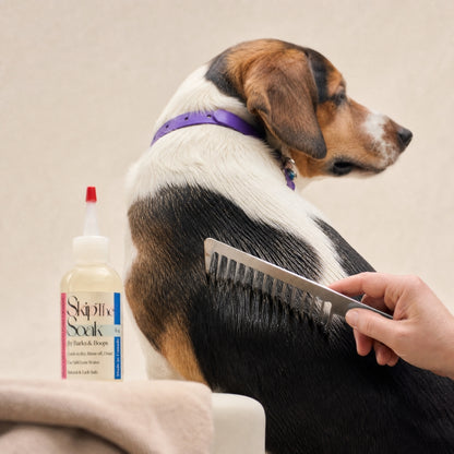 Skip The Soak — Cream-to-Foam Dog Cleanser