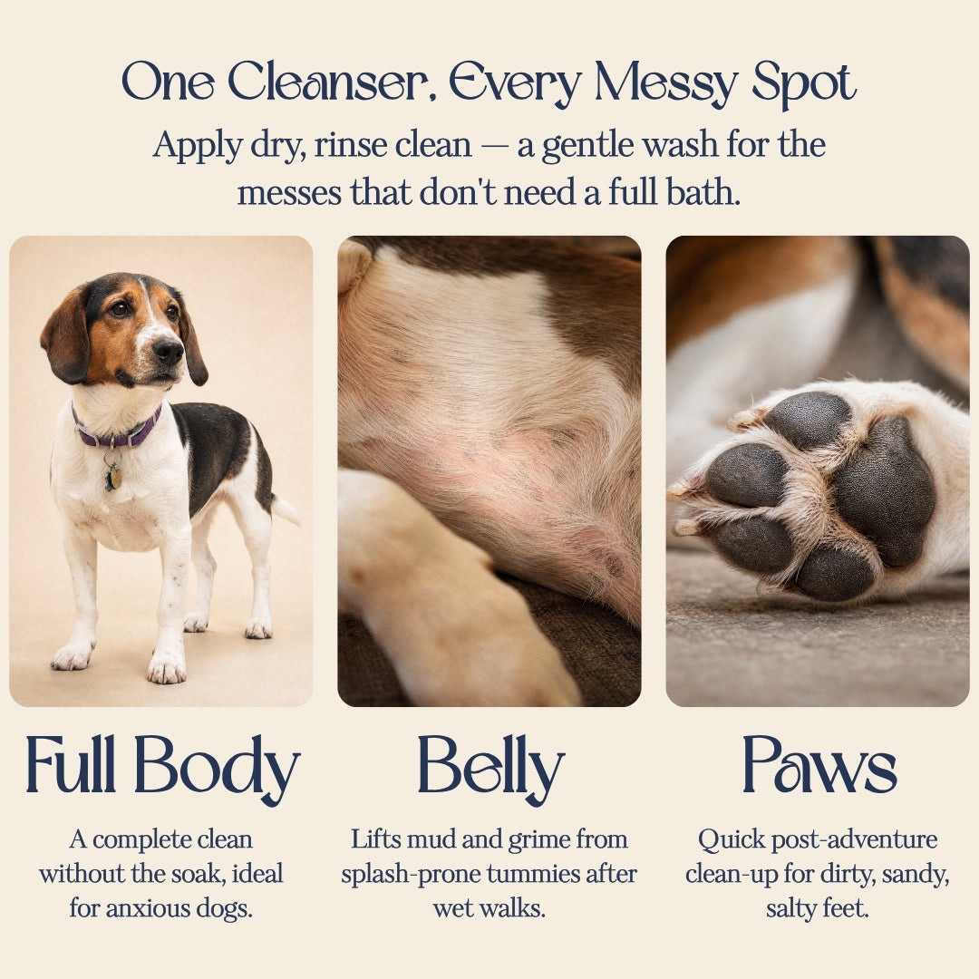Skip The Soak — Cream-to-Foam Dog Cleanser
