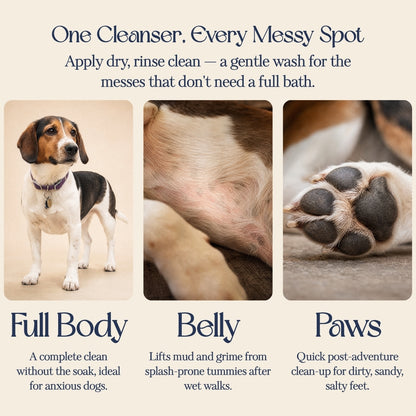 Skip The Soak — Cream-to-Foam Dog Cleanser