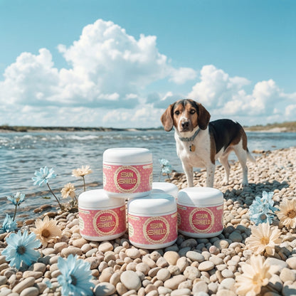 Sun Shield - Natural Sun Protection for Dogs - Lick-Safe