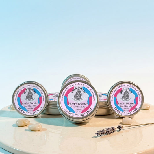 Barrier Booster - Nose & Paw Balm - Lavender