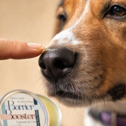 Barrier Booster — Nose & Paw Balm (Coconut & Oat, Fragrance-Free)