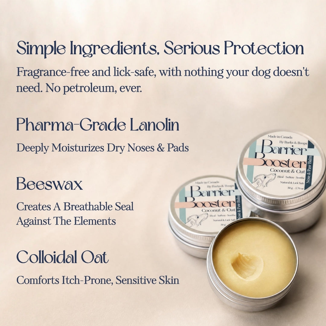 Barrier Booster — Nose & Paw Balm (Coconut & Oat, Fragrance-Free)