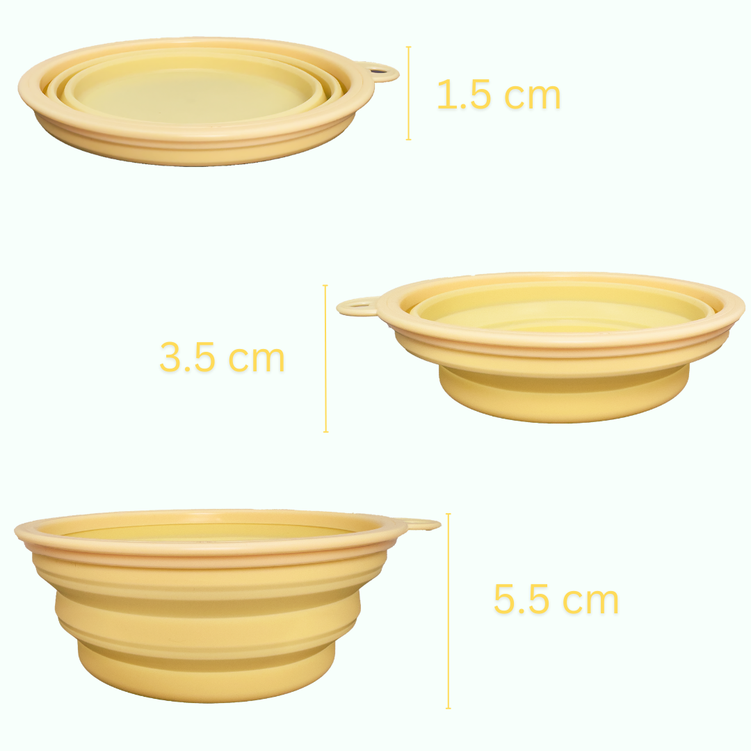 Bowl - Collapsible