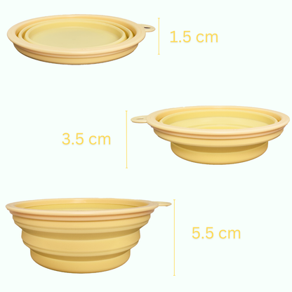 Bowl - Collapsible