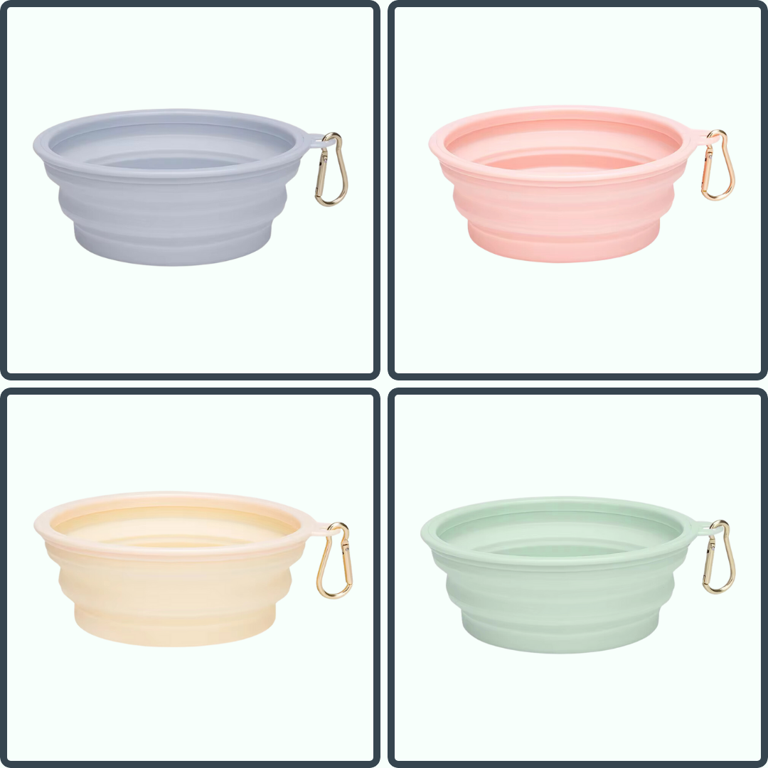 Bowl - Collapsible