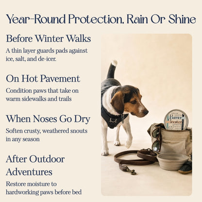Barrier Booster — Nose & Paw Balm (Coconut & Oat, Fragrance-Free)