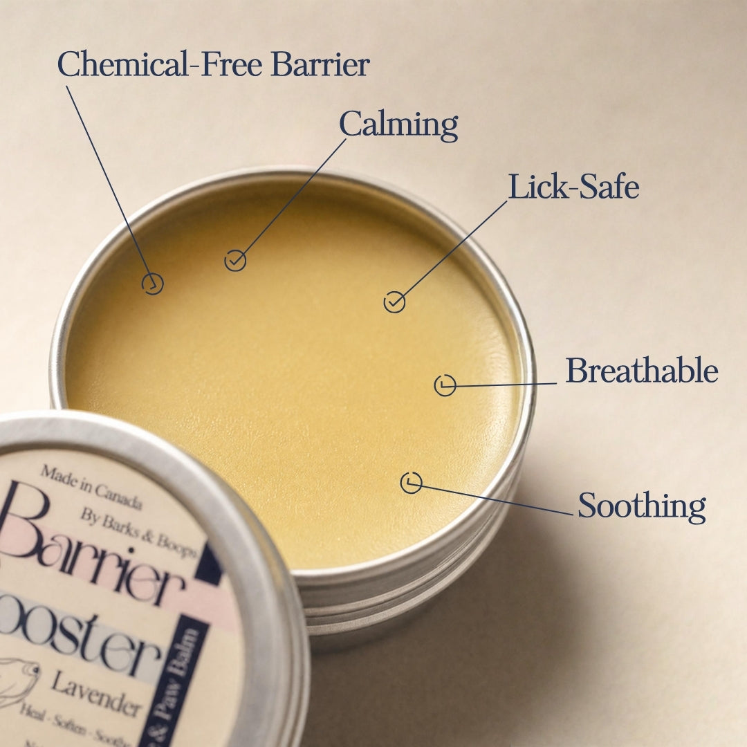 Barrier Booster - Nose & Paw Balm - Lavender