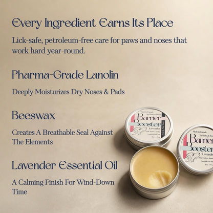 Barrier Booster - Nose & Paw Balm - Lavender