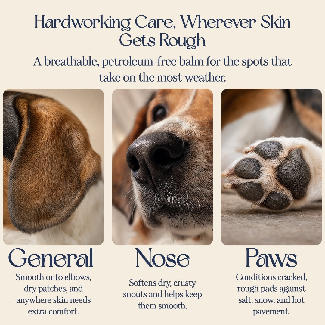 Barrier Booster - Nose & Paw Balm - Lavender