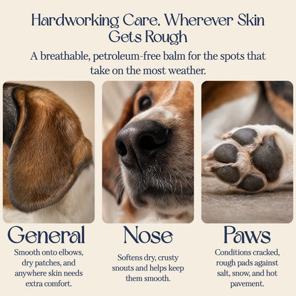 Barrier Booster - Nose & Paw Balm - Lavender