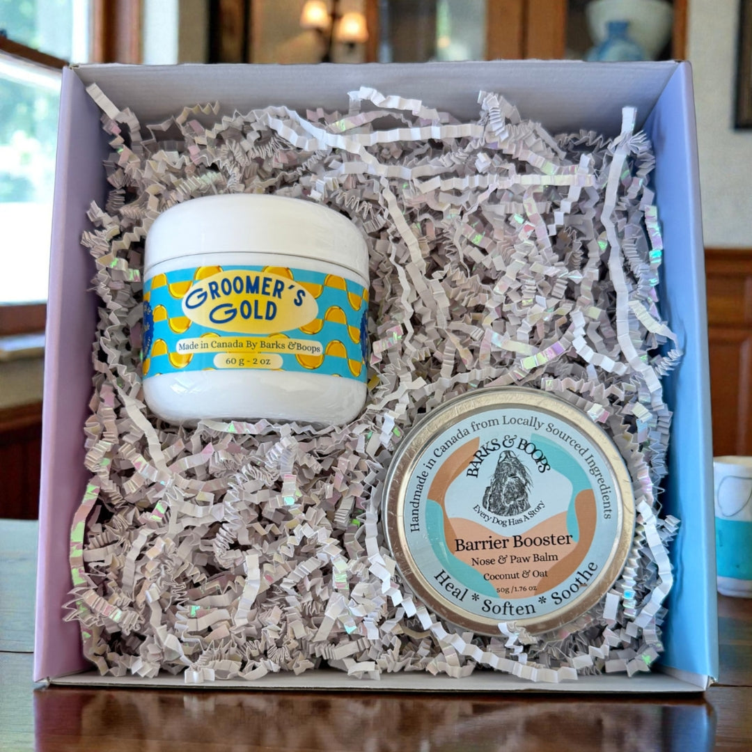 Winter Essentials Bundle - Daily Weather Defence System