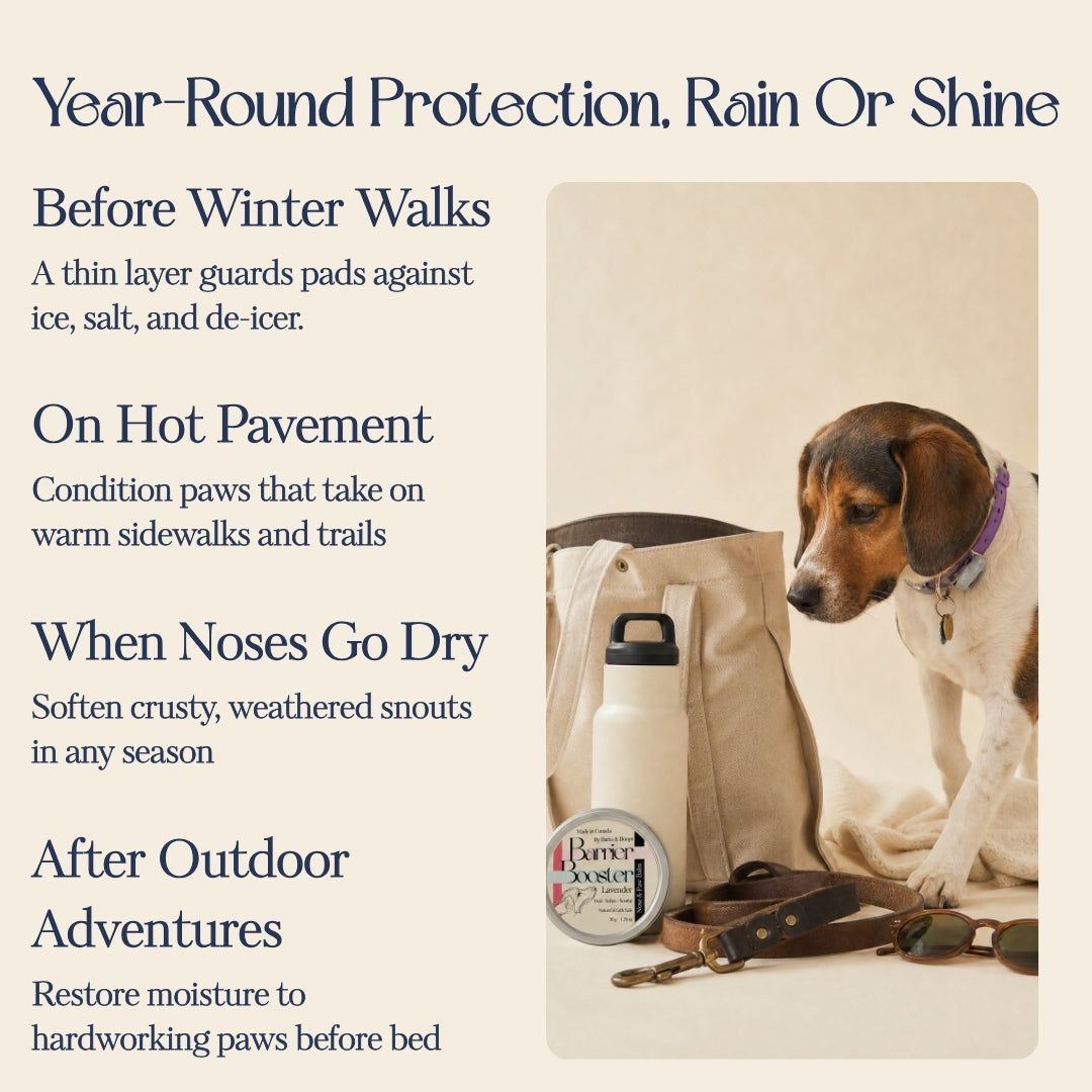Barrier Booster - Nose & Paw Balm - Lavender