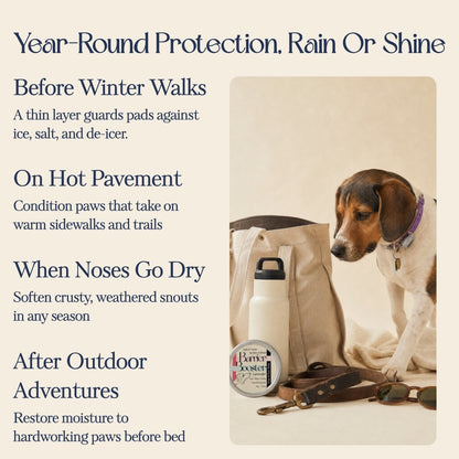 Barrier Booster - Nose & Paw Balm - Lavender