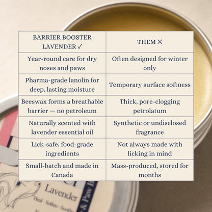 Barrier Booster - Nose & Paw Balm - Lavender
