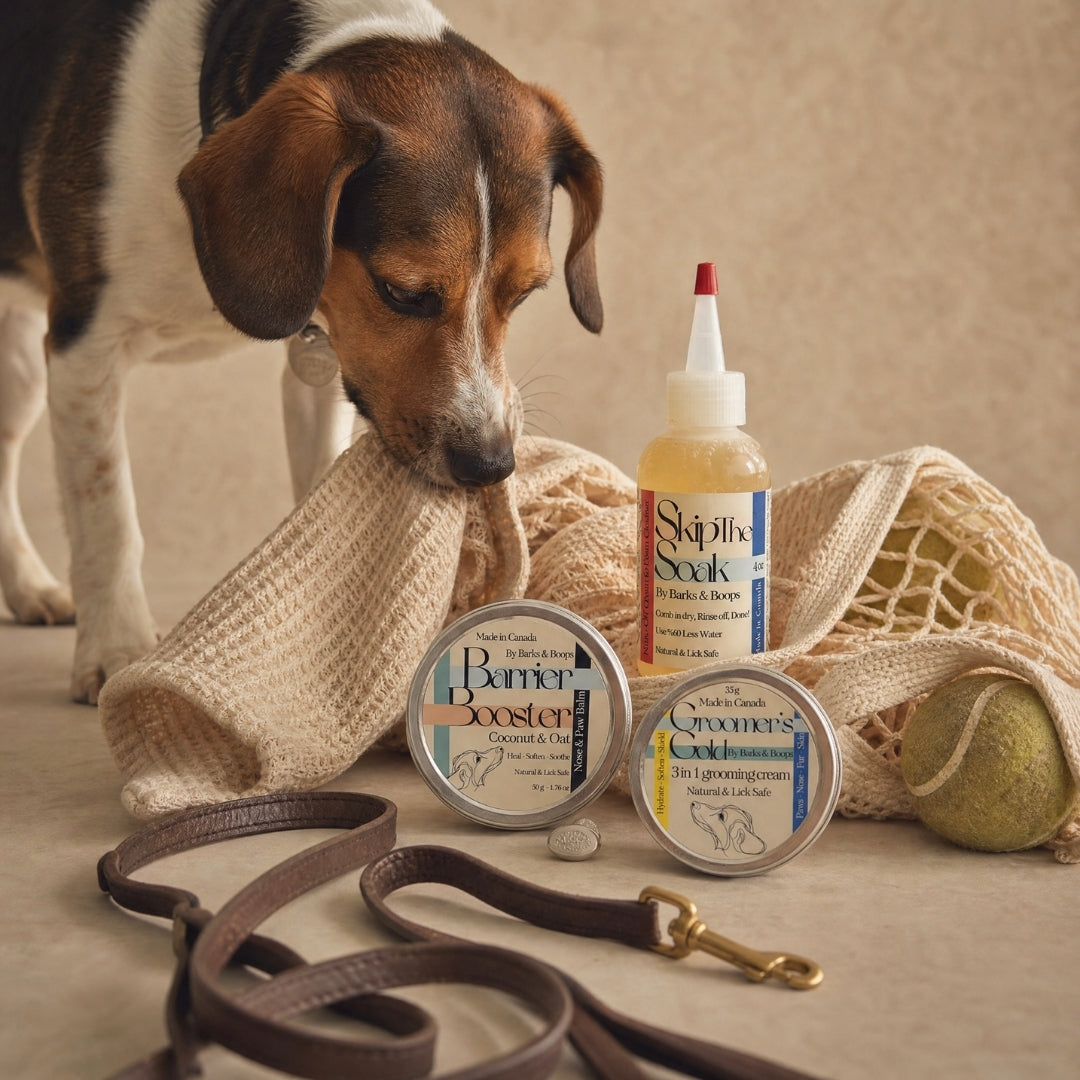 Year-Round Care Bundle