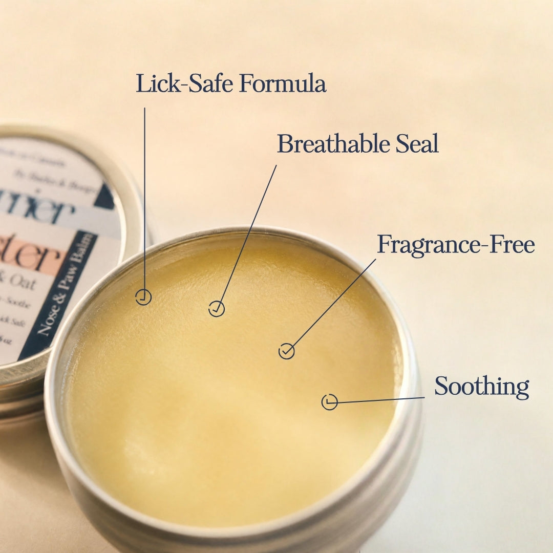 Skin Essentials Bundle