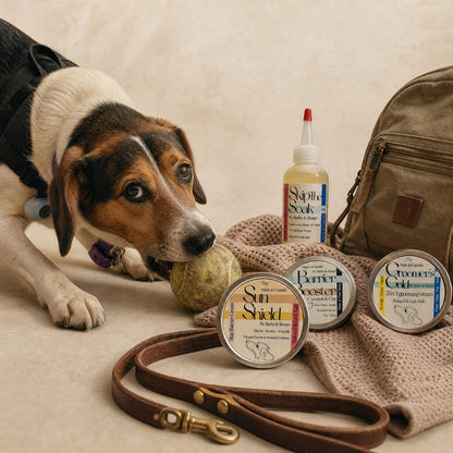 Complete Dog Care Bundle — 4-Product Sampler