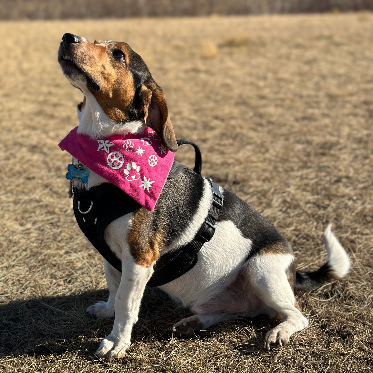 Breeze Wrap Bandanas