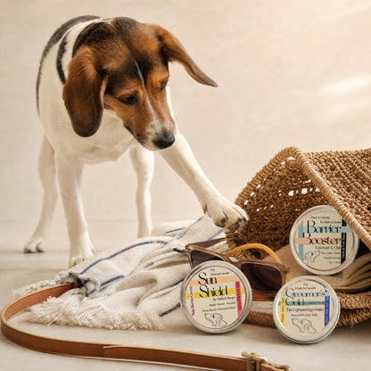 Summer Care Bundle for Dogs