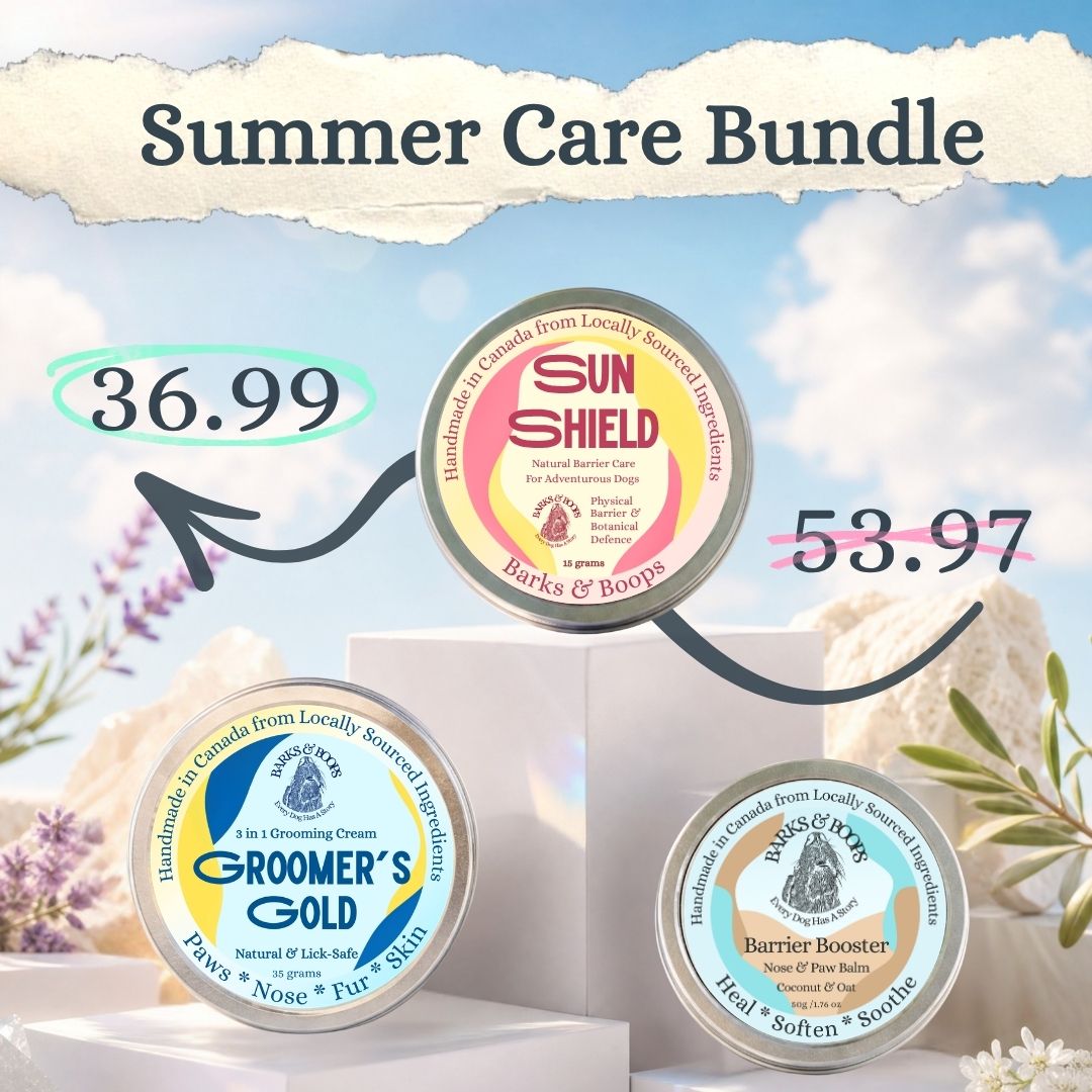 Summer Care Bundle for Dogs | Sun, Nose & Paw Protection | Lick-Safe, Made in Canada