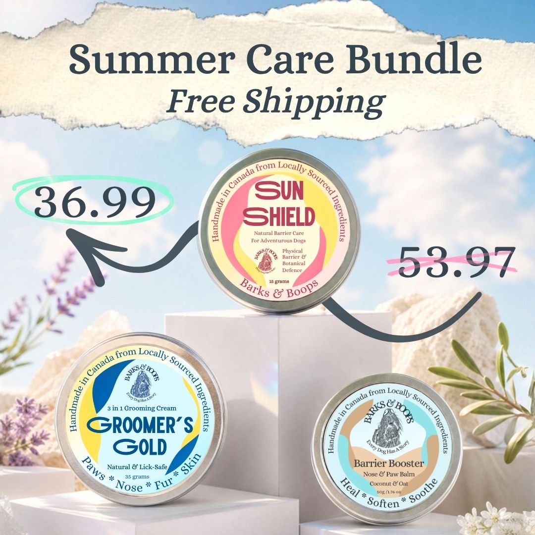 Summer Care Bundle for Dogs | Sun, Nose & Paw Protection | Lick-Safe, Made in Canada