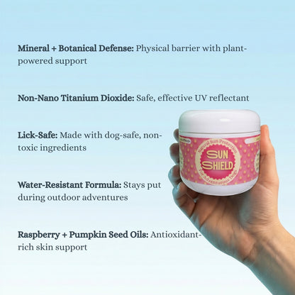 Natural lick-safe dog sunscreen applied to a dog's nose