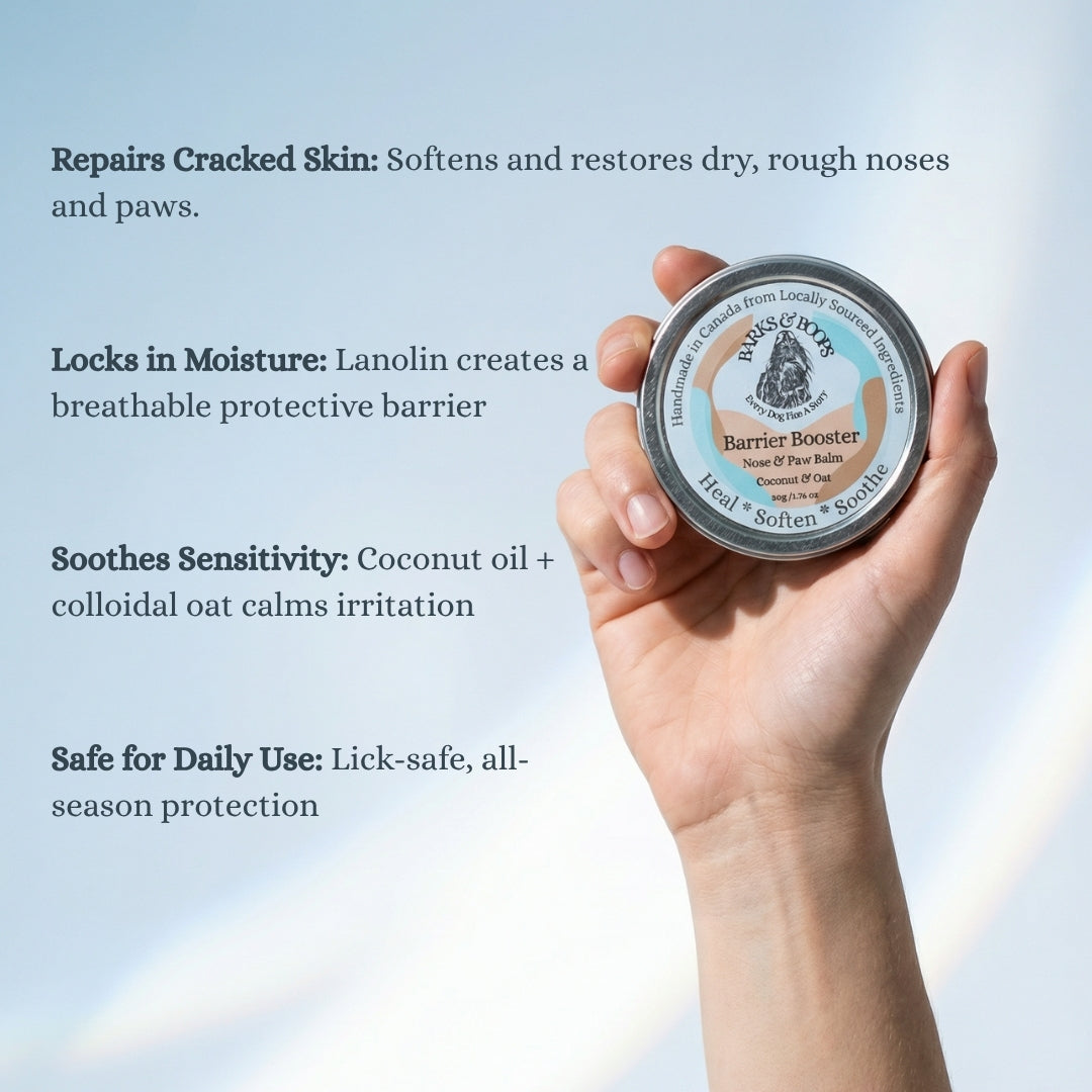 The Complete Dog Care Bundle- 4-product sampler kit from Barks & Boops- Made In Canada- Dog Paw Balm