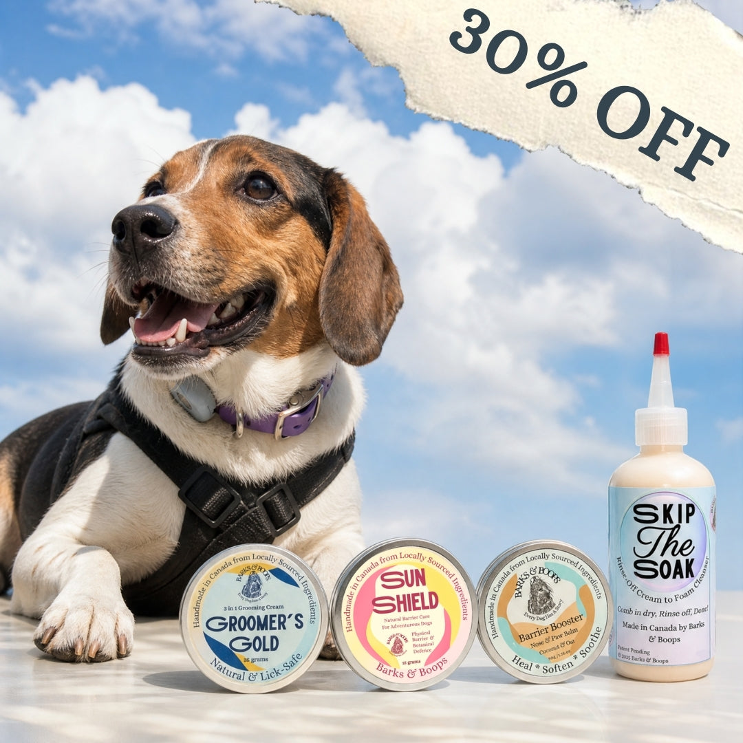 The Complete Dog Care Bundle- 4-product sampler kit from Barks & Boops- Made In Canada- Nose balm